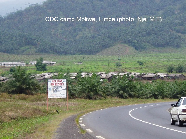 CDC Camp at Moliwe, Limbe (photo: Njei M.T)